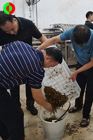 客戶來廠測試驗貨果蔬清洗加工設備！